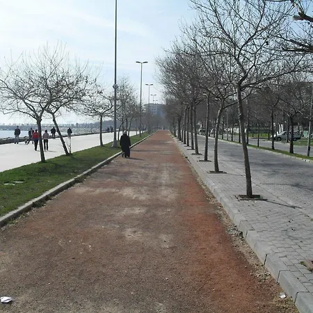 Expo Mg - Avcilar (Kirklareli)